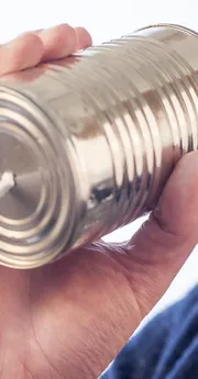 Voice V850