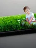 qmobile-m550-price